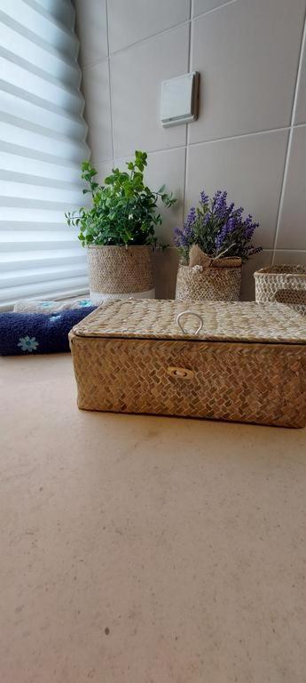 Zise Flor-De-Lis Apartman Conceição Kültér fotó